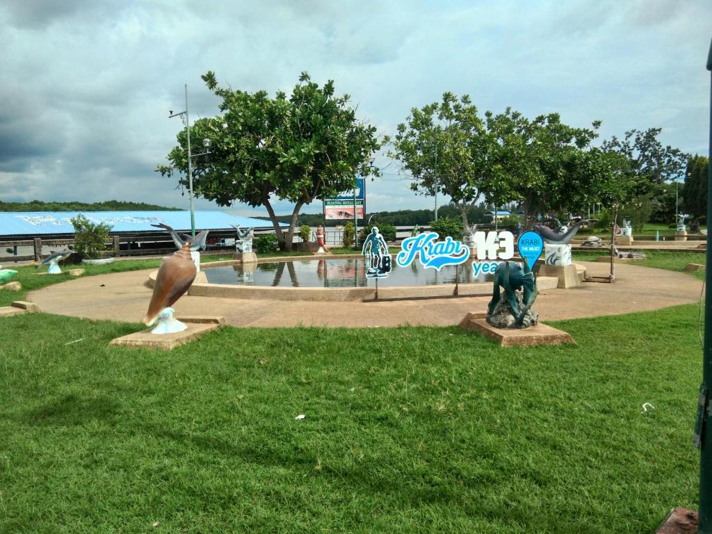 アクティビティ