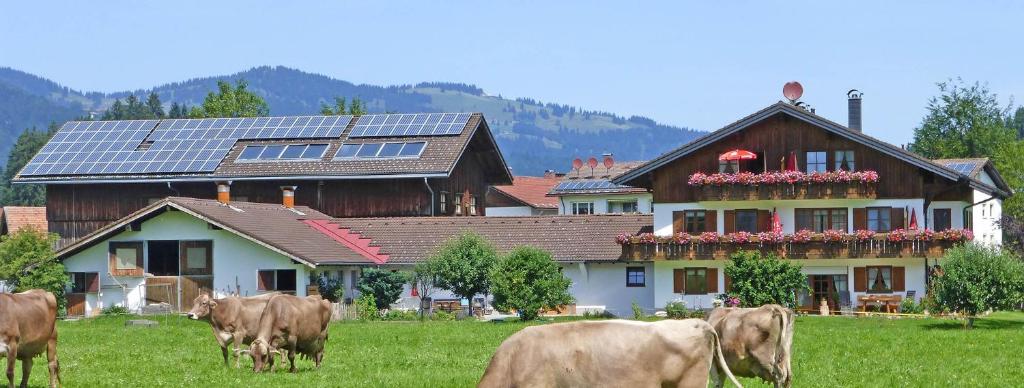 Ferienhof Brutscher - Fischen im Allgäu - 1