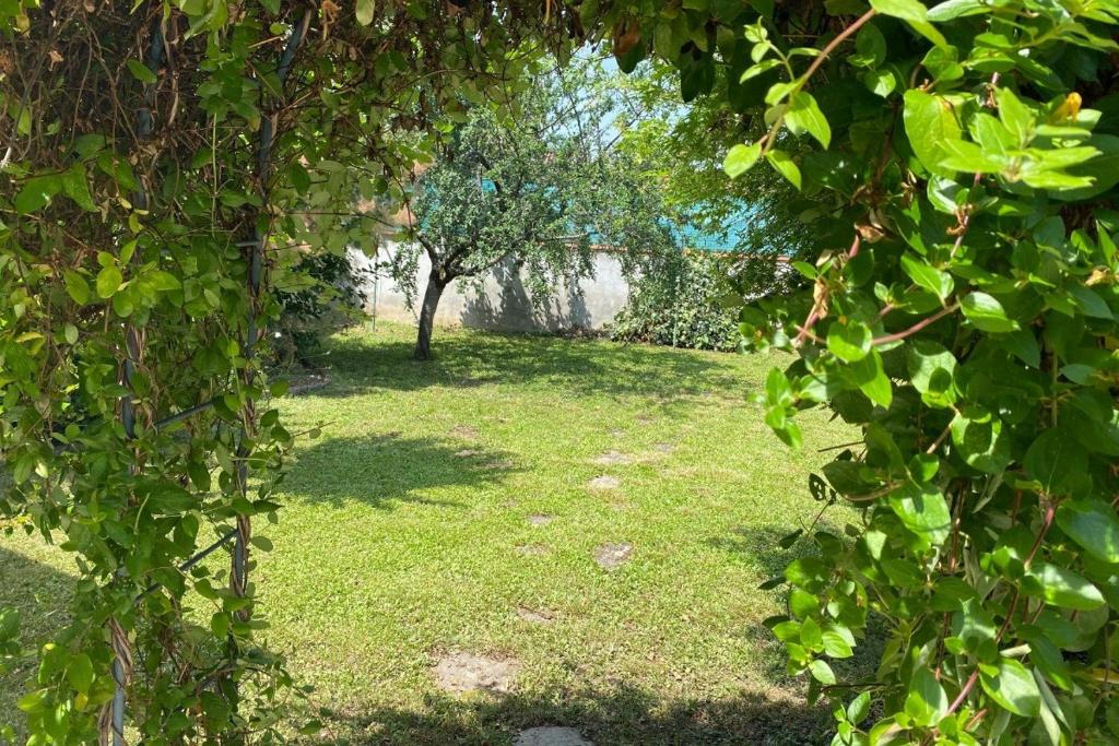 Appartement dembourg - 2