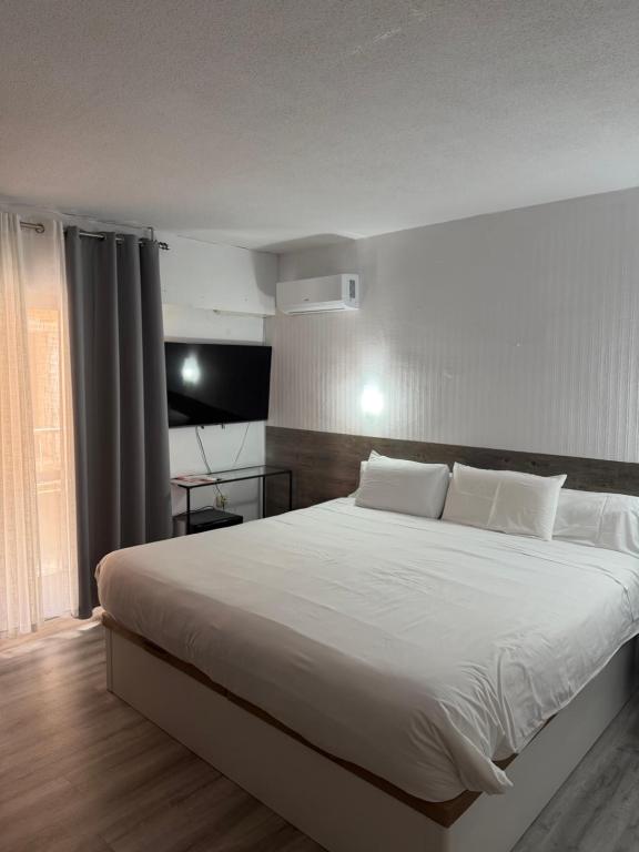 Hotel Carlos III - 5