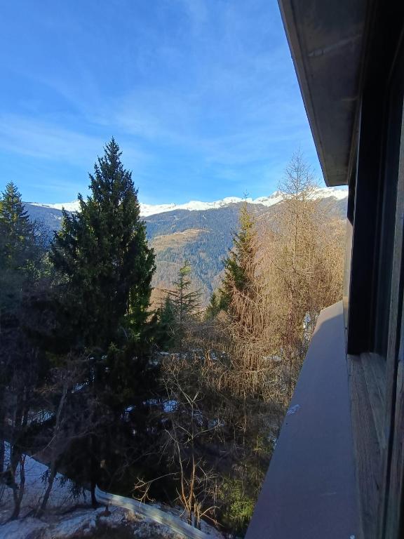 Marilleva 1400 - Alpine Apartment - 3