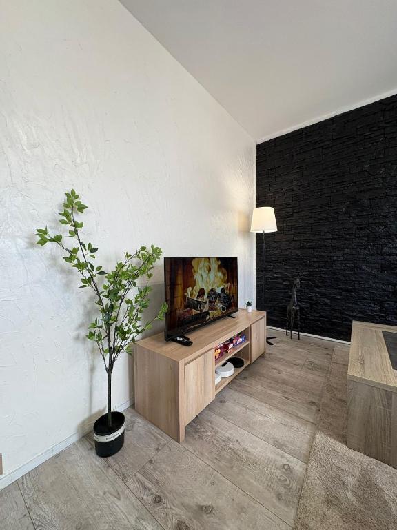 Appartement Spacieux et Balcon Vieille Levée - 5