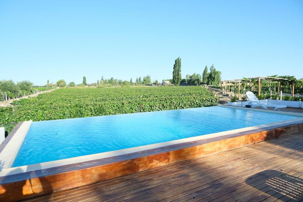 Cabin Vineyard Retreat - 5