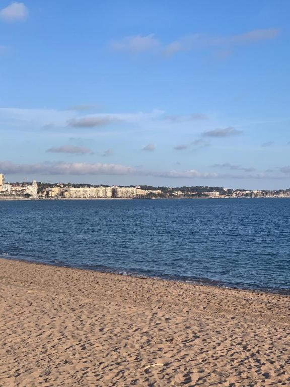 Appartement les pieds dans l'eau - 3