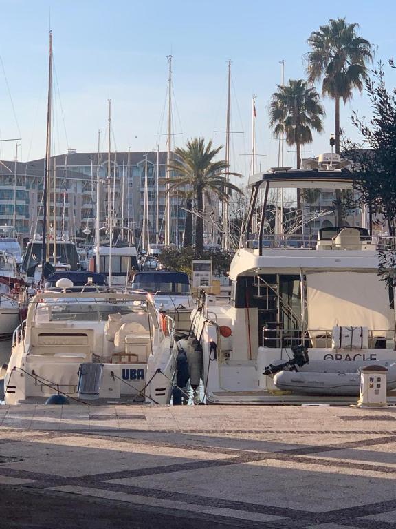 Appartement les pieds dans l'eau - 5