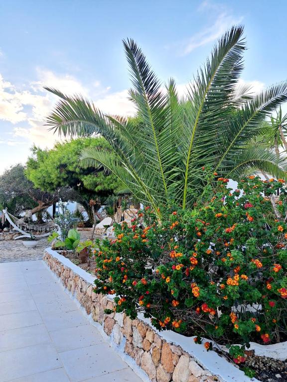 Luagos club Resort - 4