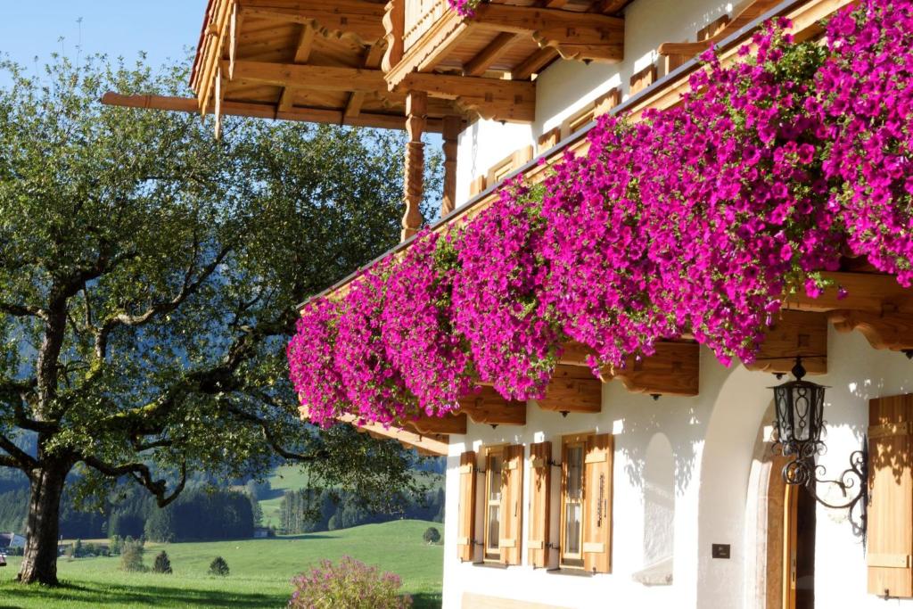 Wimmerhof - Chiemgau Karte - 3