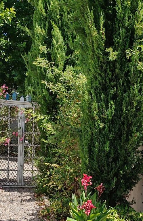 LE PETIT JARDIN ... - 4