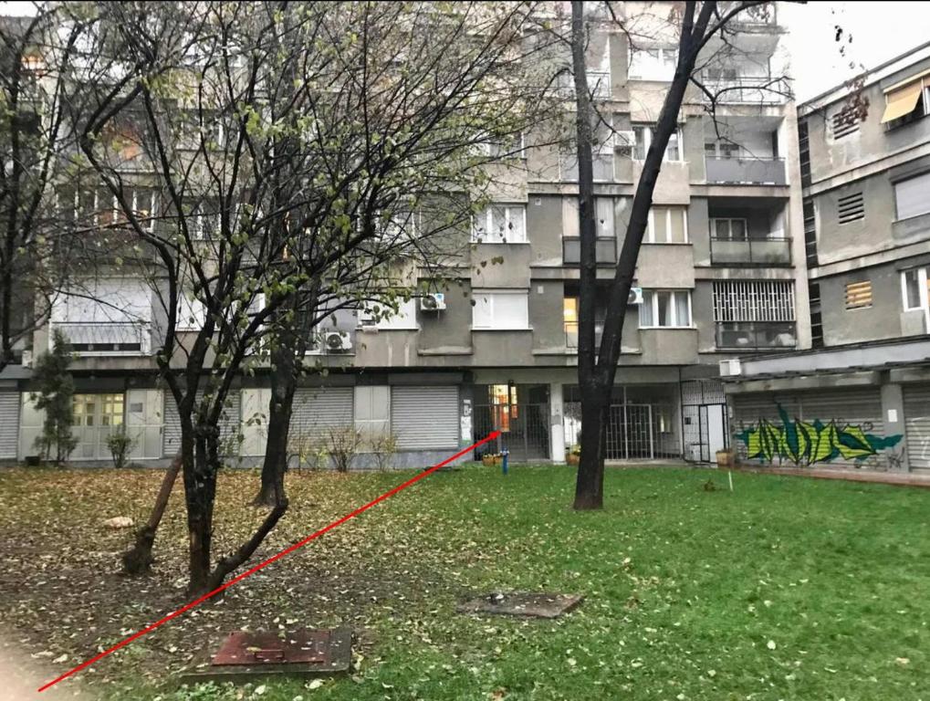 Calm & Central Two Bedroom Apartment - 2