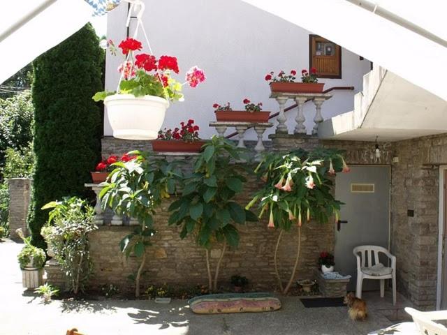 Magdi Panzio photo