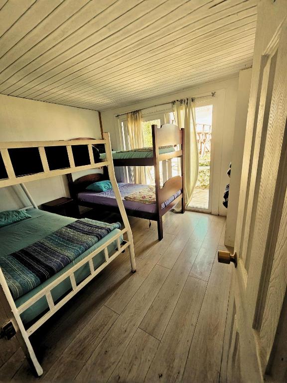 Sophia Hostel Beach House l Coworking, Coliving & Wellness - 3