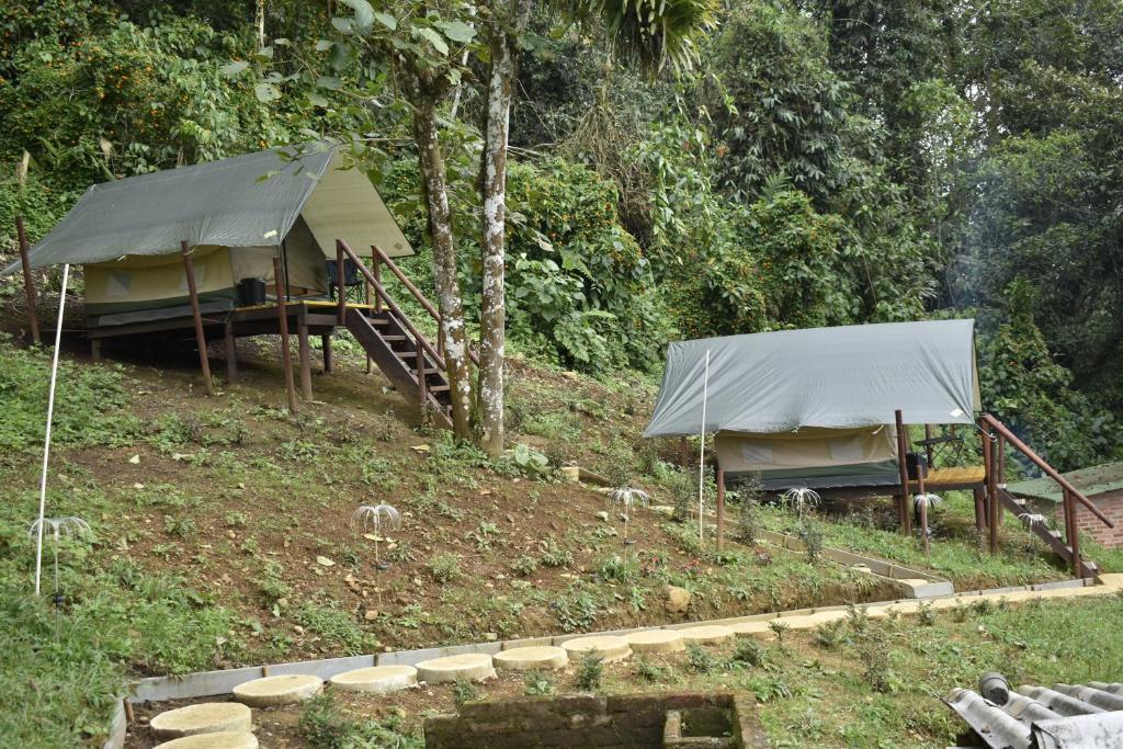 Nido Bag Glamping - 2