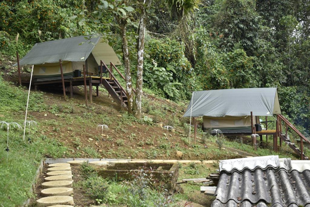 Nido Bag Glamping - 3