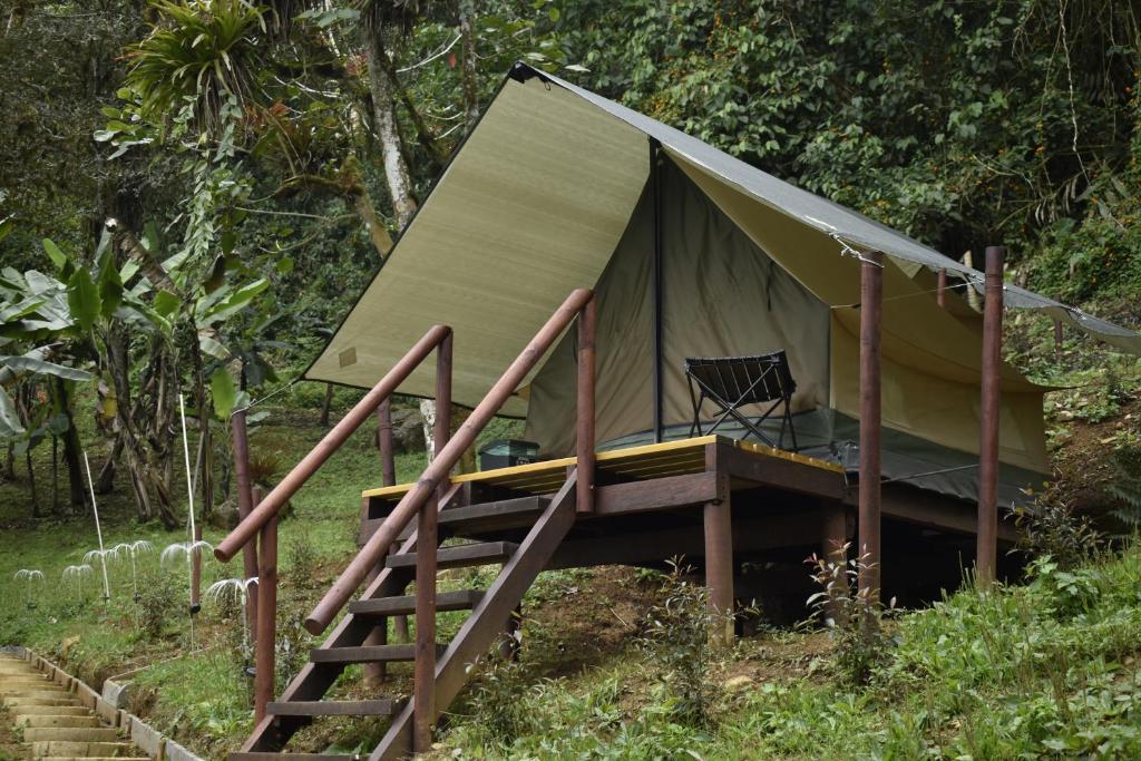 Nido Bag Glamping - 5