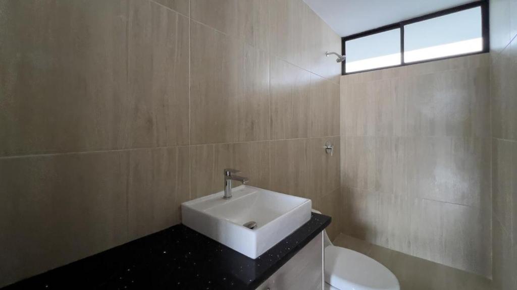 Apartamento y oficina - 3
