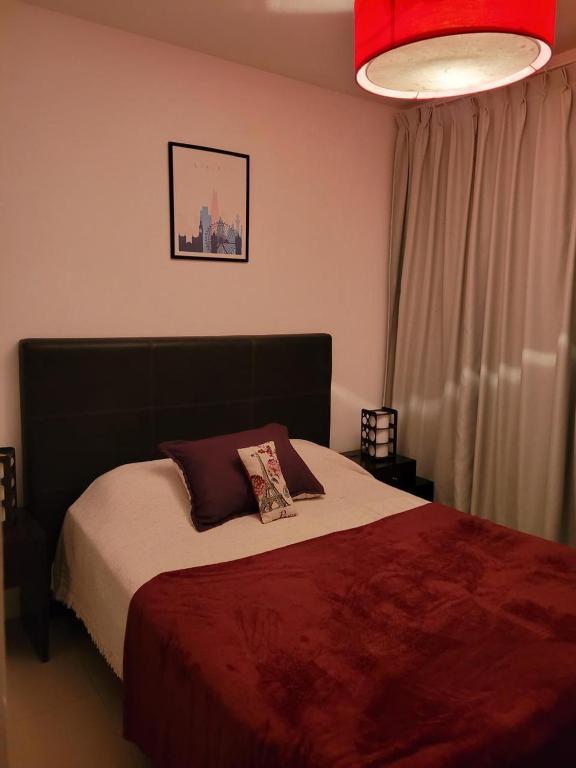 Departamento morderno y centrico-Paseo Plaza - 3