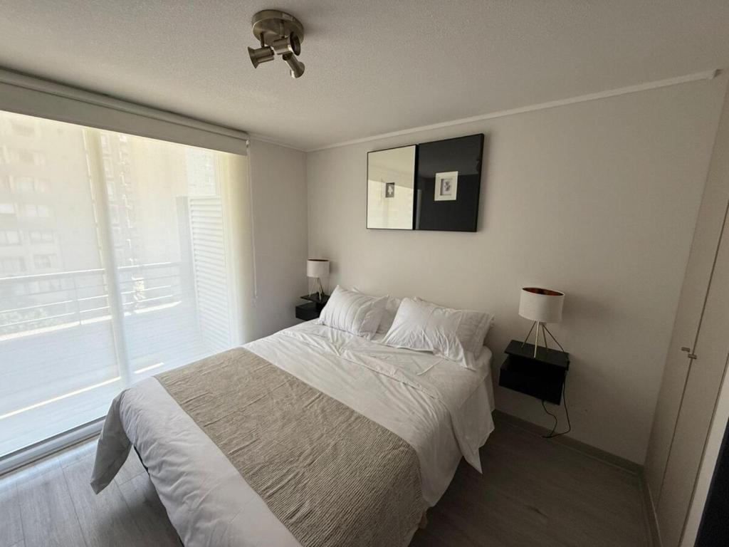 Comfort and luxury in downtown Santiago - 3