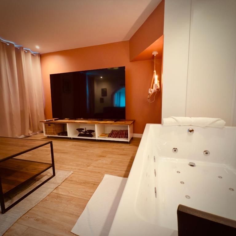 P01 Grand appartement proche gare cinéma jacuzzi RDC sur cour privative - 1