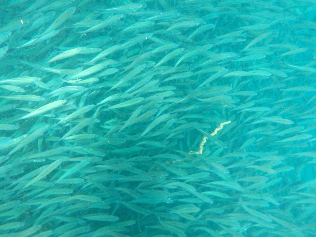 Sports and activities