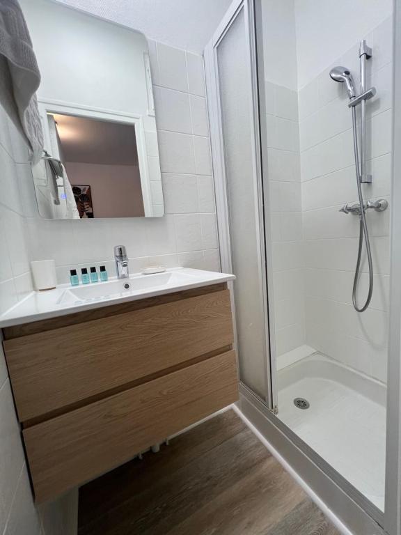 Le Russel - 1 Chambre - Halles Lourdes - 4