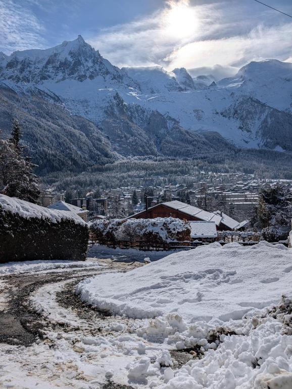 Stunning New Apartment in Chamonix with Mont Blanc Views - 3