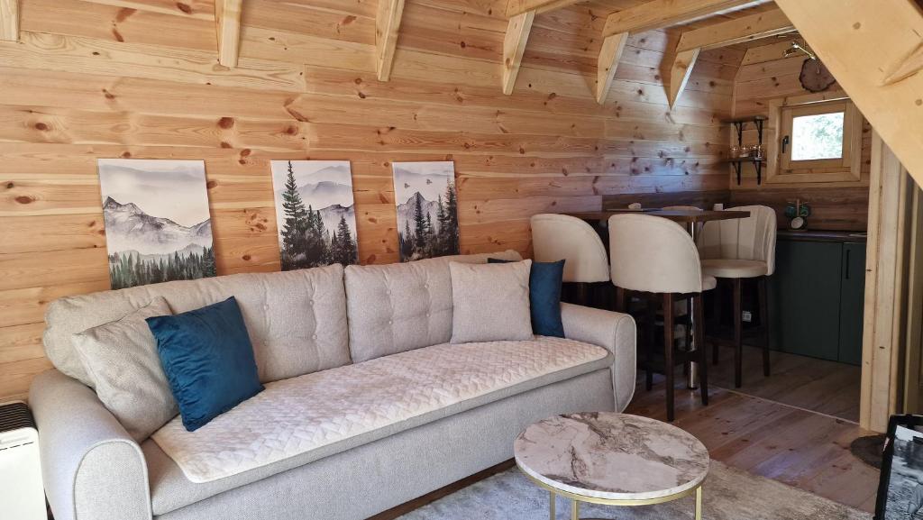 Golden pine chalet Žabljak - 4