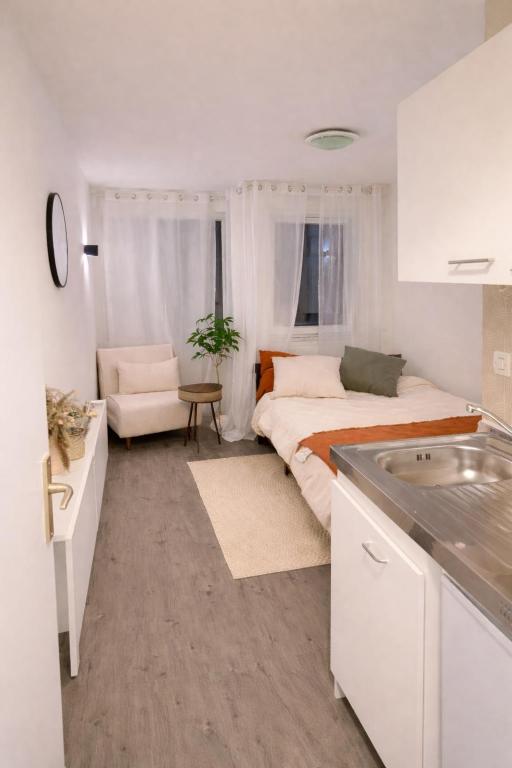 Cozy and quiet studio near Grenoble city center - 5