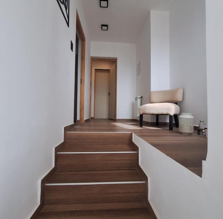 Bed and breakfast Maipu - 5