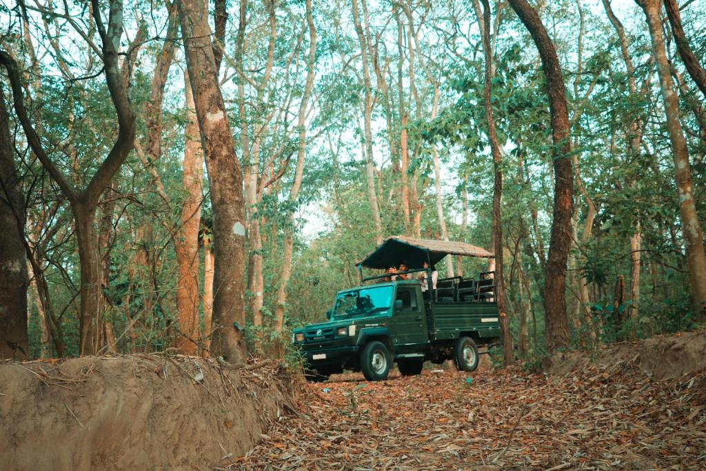Travellers Cafe and Stay — Sauraha (5)