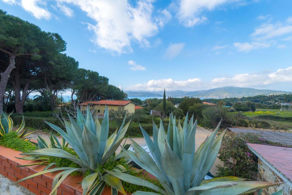 Villette al Mare - Goelba - 4