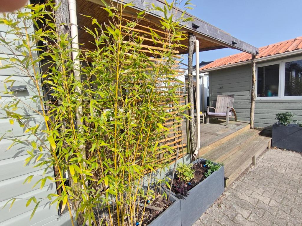 Maison 47m2 climatisé, piscine,linge fourni - 3