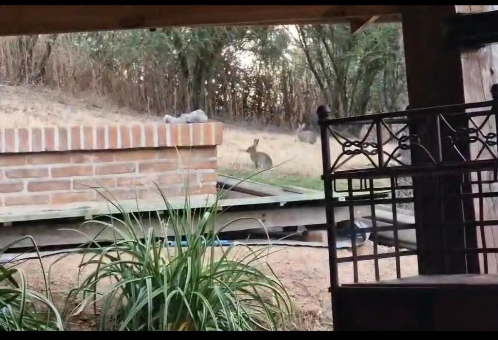 casona de campo - 4