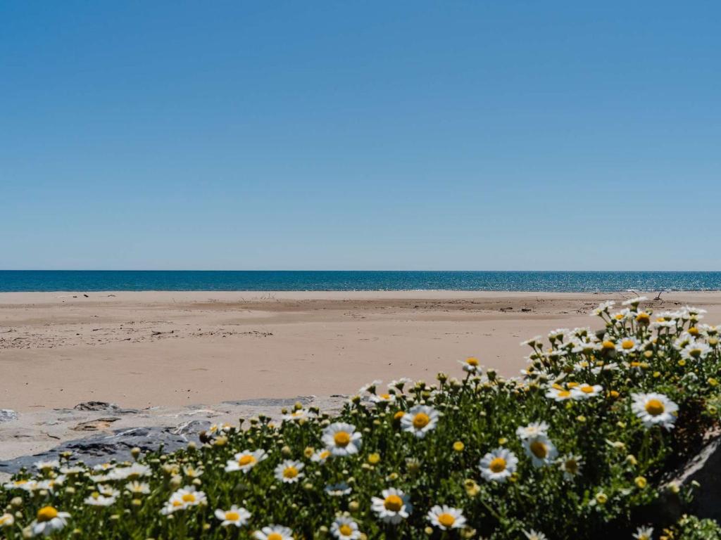 Appartement T2 en front de mer avec balcon à Narbonne Plage - FR-1-409-263 - 5