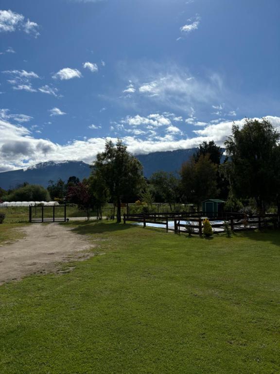 Postal del piltri - 2