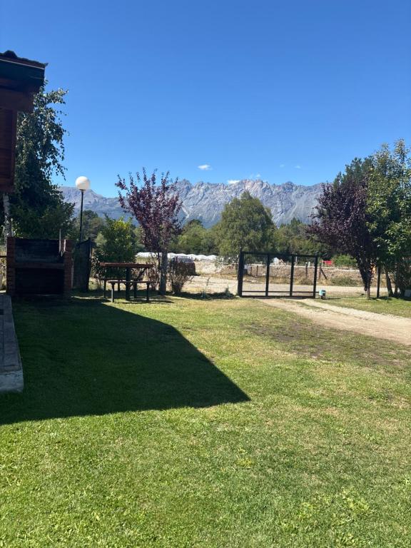 Postal del piltri - 3