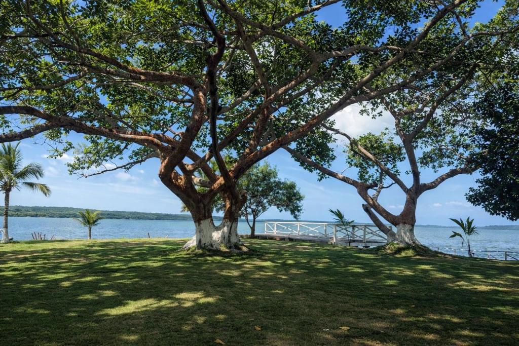 Casa Coral boutique - 3