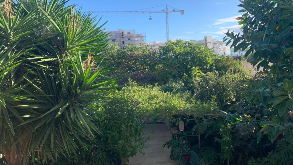 La casa sul giardino - 5