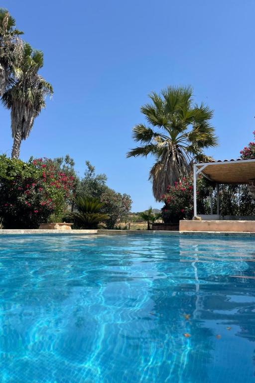 Holiday Home in Manacor mit Privatem Pool by Interhome - 4