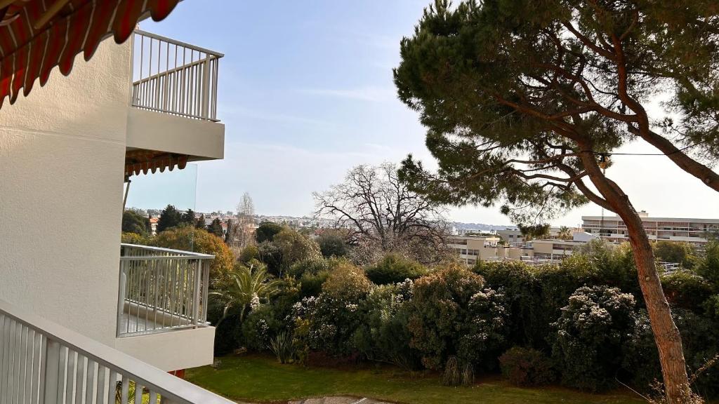 La Pinède - Appartment 3 bedrooms - 3