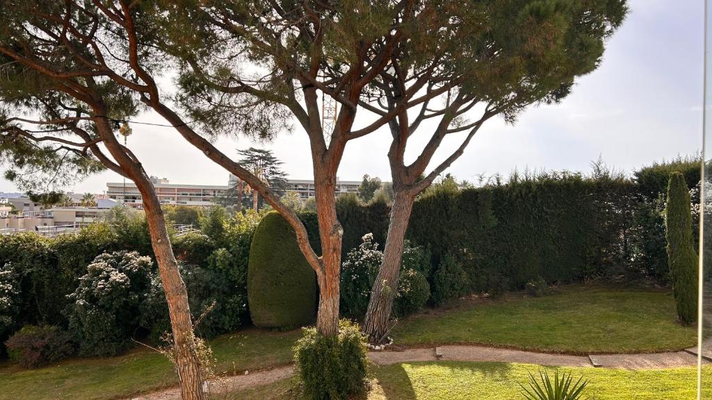 La Pinède - Appartment 3 bedrooms - 2