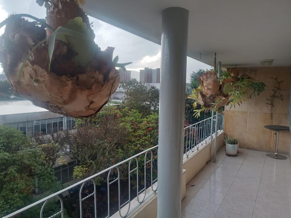 habitación acogedora - 1