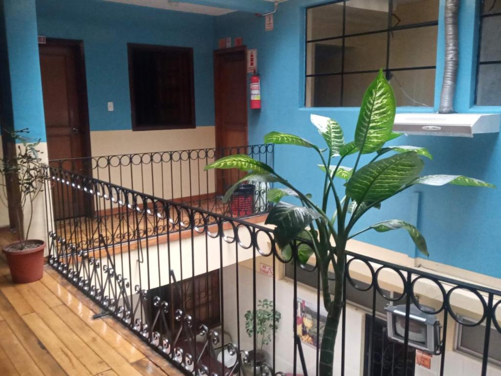 Departamento MEDIO DIA - 2
