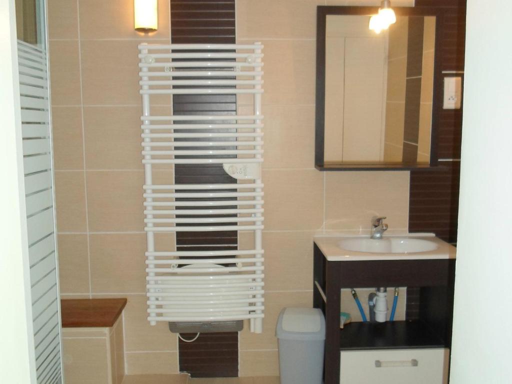 Appartement 45m² Balaruc-les-Bains, animaux admis - FR-1-503-91 - 5
