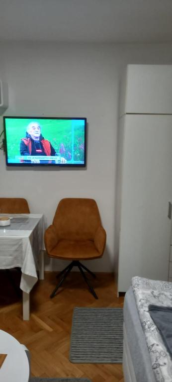 Zlatibor Apartman Nikolic - 1