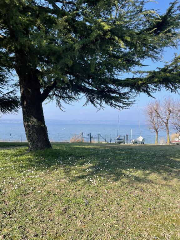 Sirmio Green Shore By Bookinggardalake - 1
