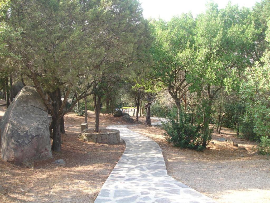 Casa Vacanze Porto Rotondo - 4
