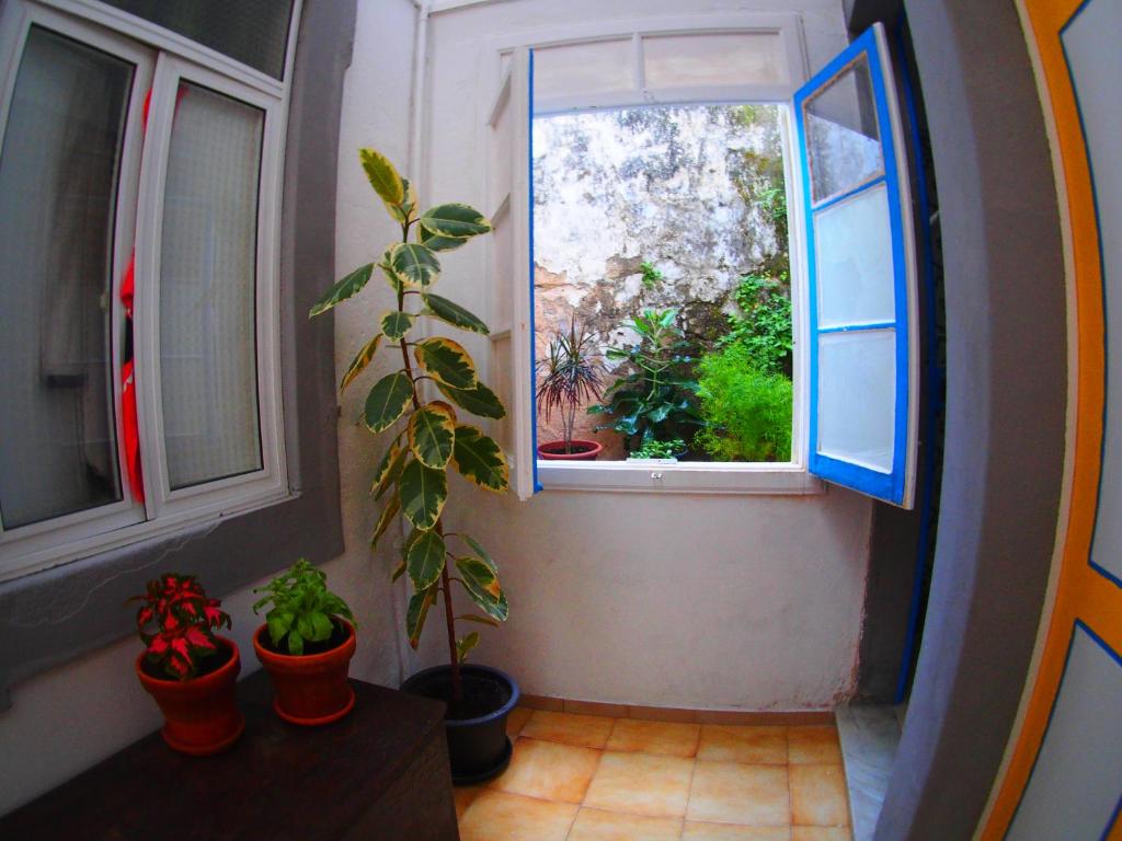 RIA Terrace
