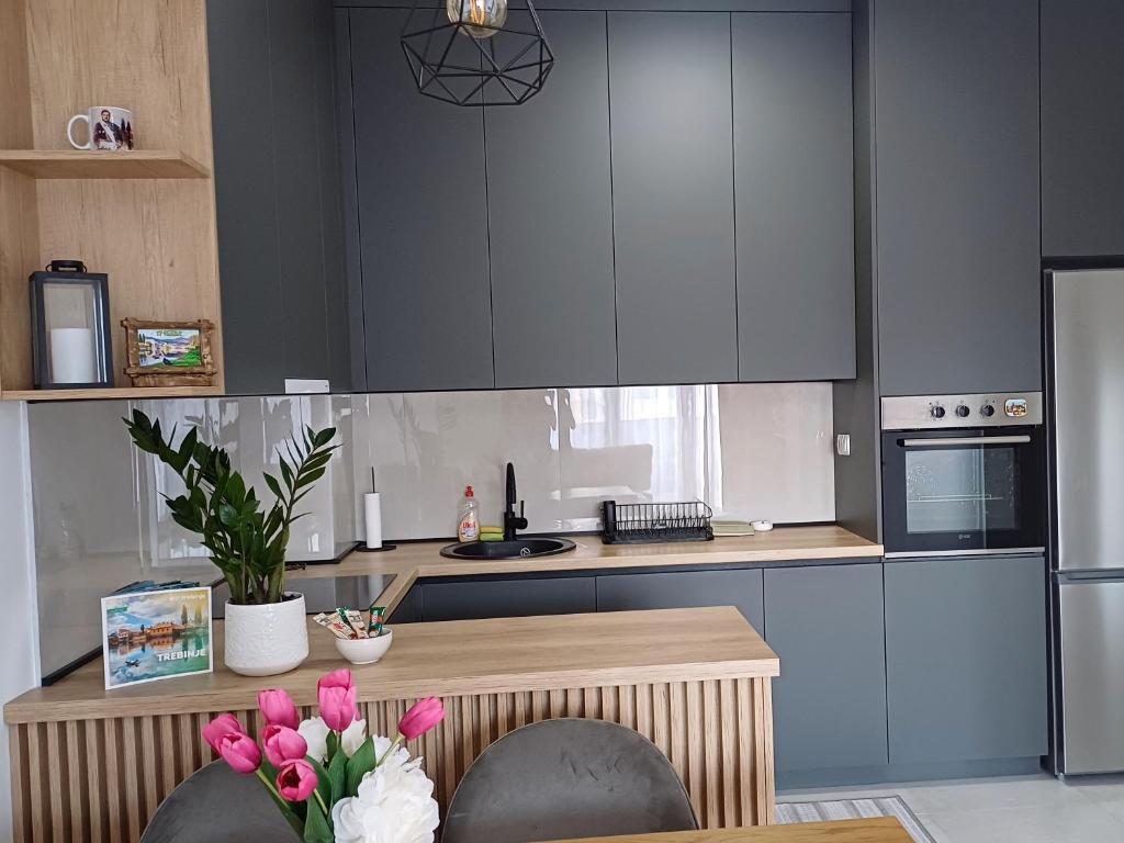 Apartman Pavle - 3