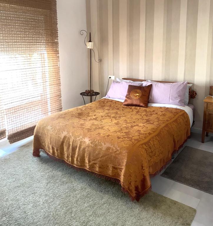 Cute and relaxing bed and breakfast en Albayzín - 5