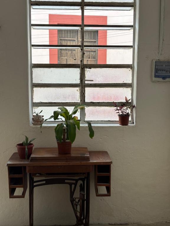 Casa GAHEL - 3